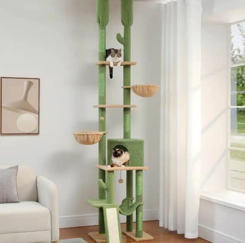 Arbre à chat extérieur