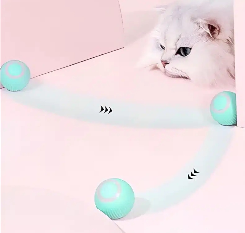 Balle pour chat qui marche toute seule