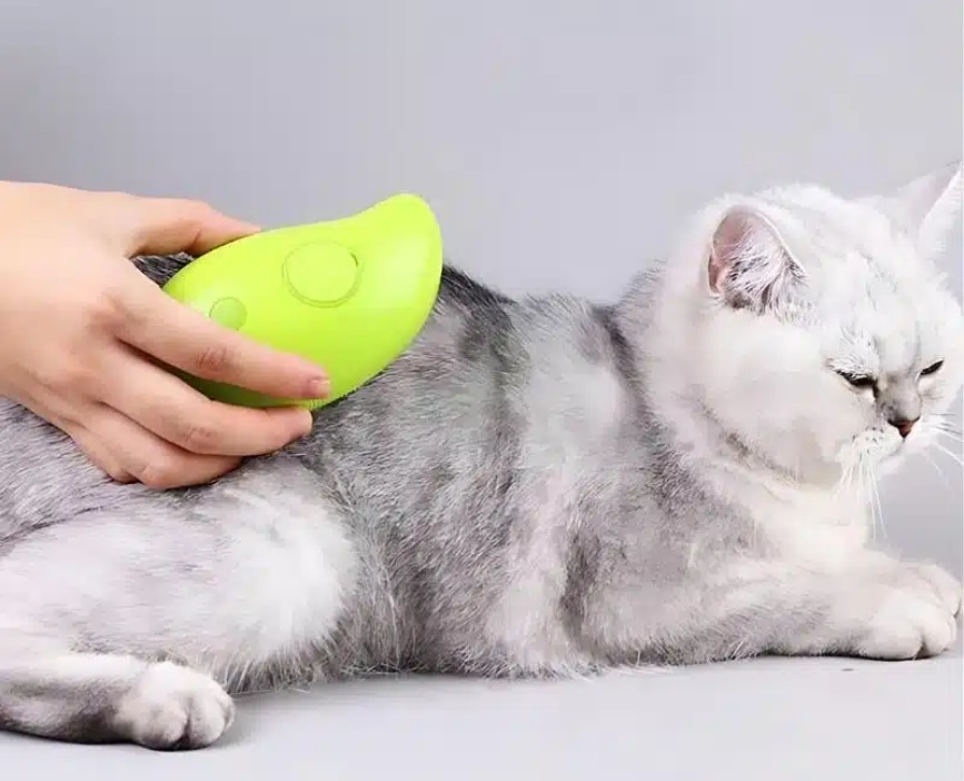 Brosse à vapeur électrique pour chat