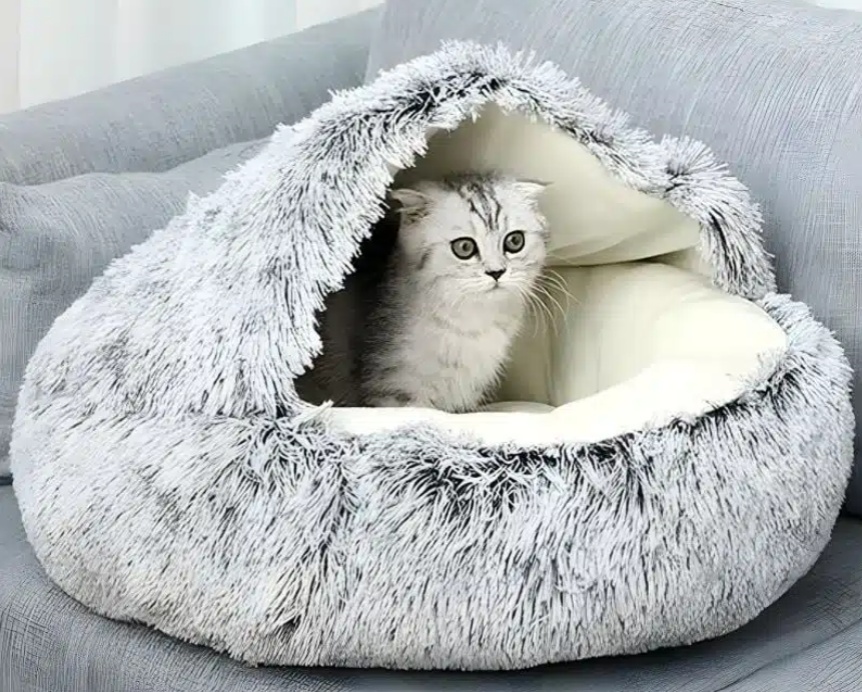 Coussin stress pour chat