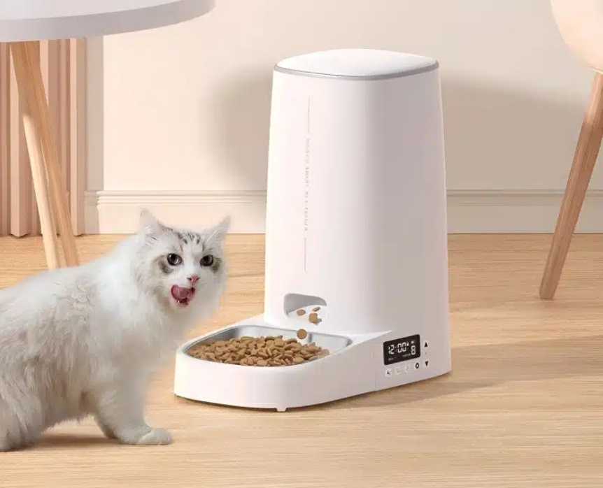 Distributeur automatique de croquettes pour chat