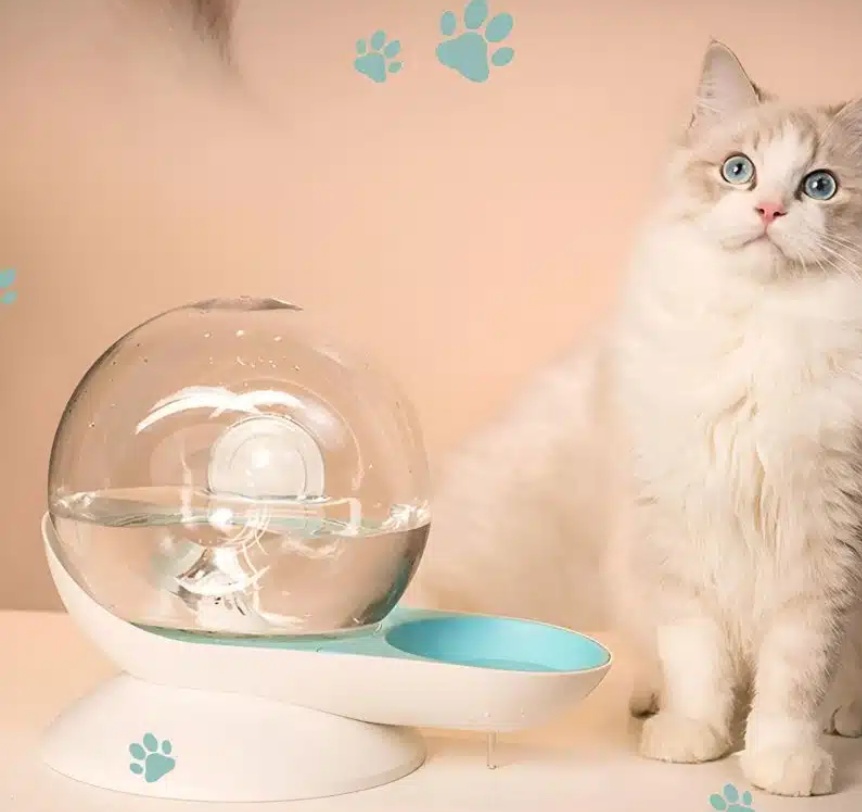 Fontaine à eau pour chat sans électricité