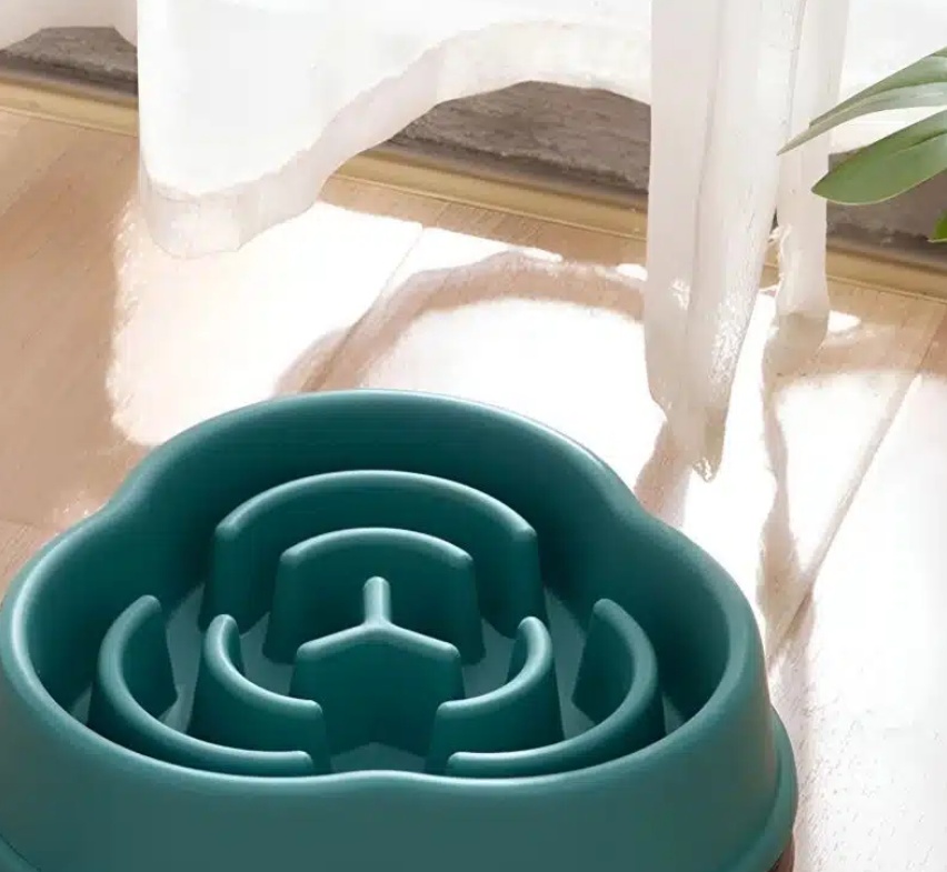 Gamelle anti glouton pour chat